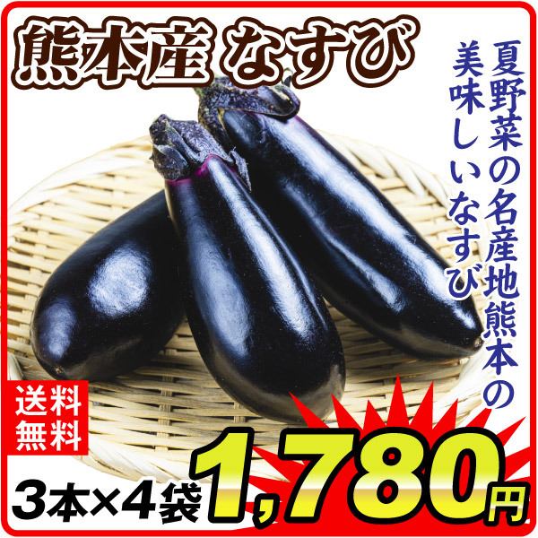 なすび 3本 4袋 熊本産 野菜  毎日の食卓に 常温便 送料無料 食品