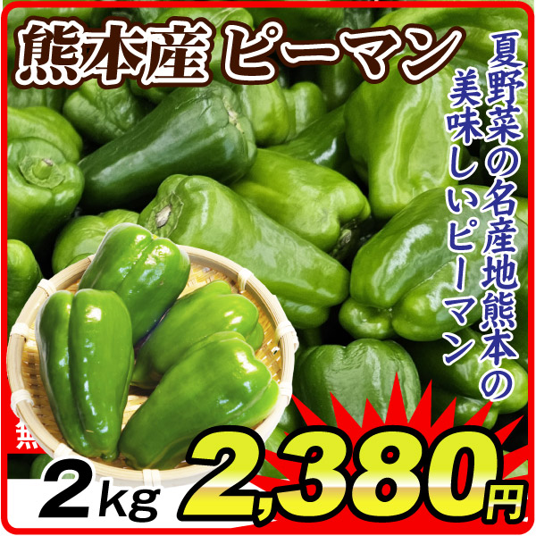 ピーマン 2㎏ 熊本産 野菜  毎日の食卓に 常温便 送料無料 食品