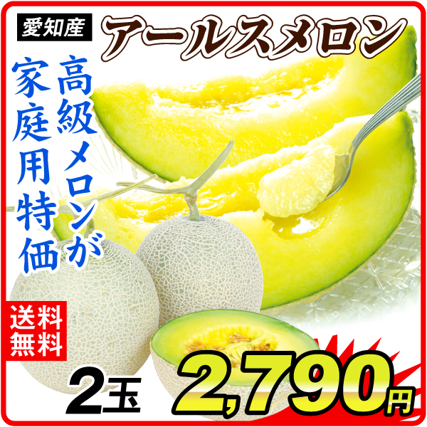 メロン アールスメロン 2玉 （1玉あたり約1～1.5kg） ご家庭用 送料無料 甘い 芳醇 香り ジューシー 青肉 フルーツ 食品