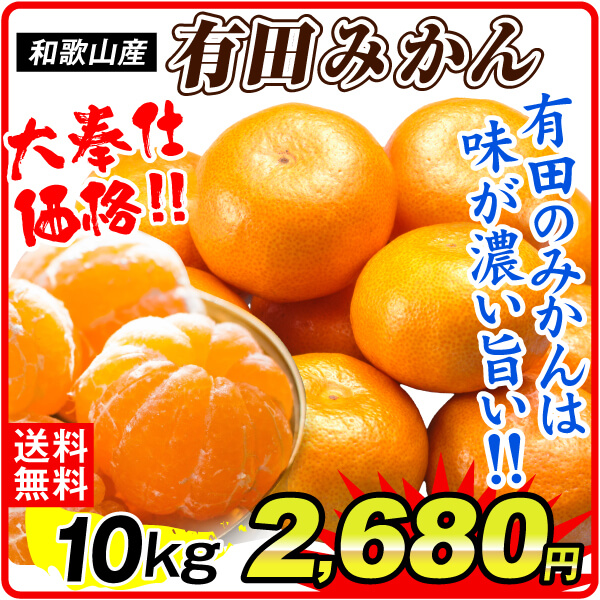 みかん 10kg ご家庭用 有田の太陽みかん 温州みかん 和歌山産 送料無料 食品