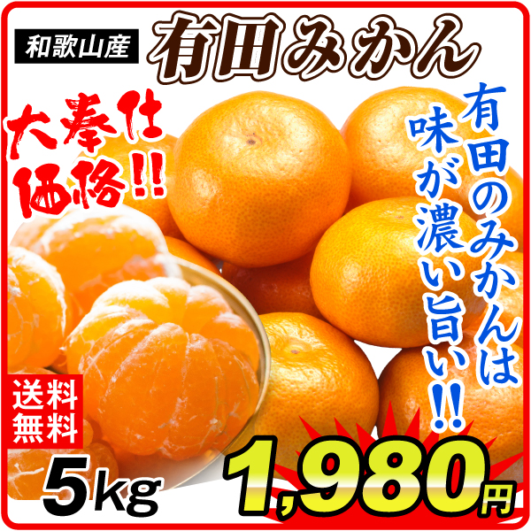 みかん 5kg 大特価 ご家庭用 有田みかん 温州みかん 和歌山産 送料無料 食品