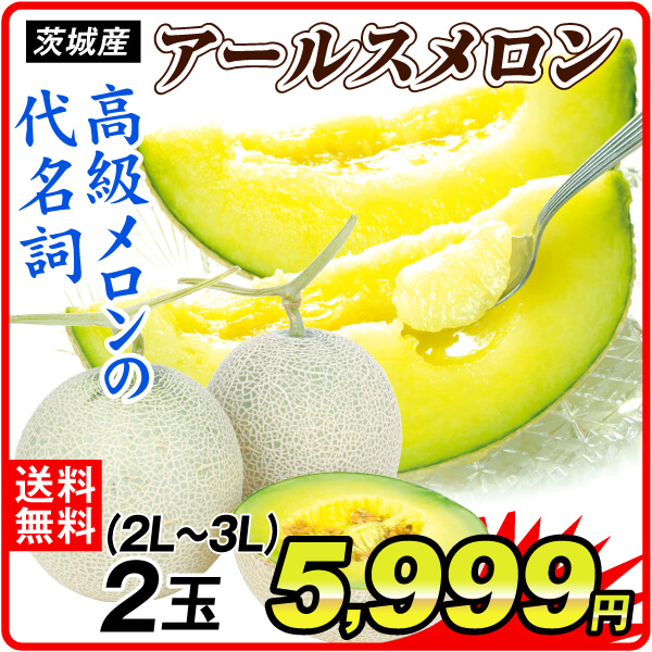 メロン アールスメロン 2玉 （2L～3L） 茨城産 ご家庭用 送料無料 甘い 芳醇 香り ジューシー 青肉 フルーツ 食品