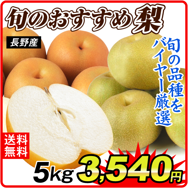 梨 5kg 旬のおすすめ梨 長野産 バイヤー厳選 甘い ジューシー 和梨  ご家庭用 送料無料 食品