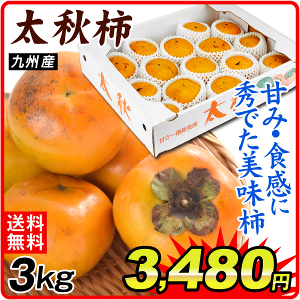 柿 3kg 有明の太秋柿 九州産 送料無料 食品