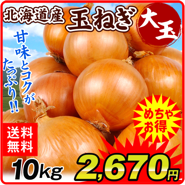 たまねぎ 10kg 玉ねぎ 北海道産 大玉 送料無料 食品