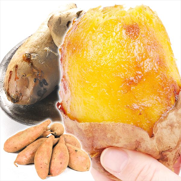 【2025年1月発送】さつまいも 5kg 安納芋 種子島産 送料無料 食品
