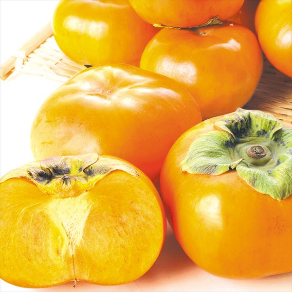 あいちゃんさん専用 ハウス柿 家庭用 箱込み10キロ なおキングの柿