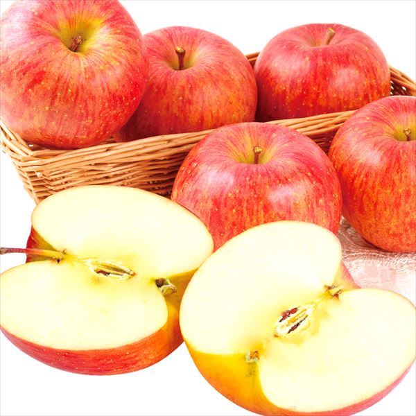 りんご 10kg みちのくサンふじ 山形産 送料無料 食品
