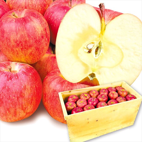 りんご 20kg サンふじ 青森産 ご家庭用 木箱 送料無料 食品