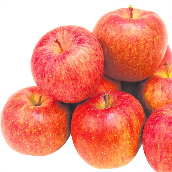 りんご 10kg サンふじ 長野産 ご家庭用 送料無料 食品