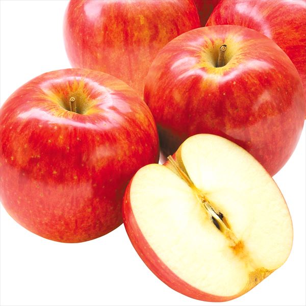 りんご 10kg サンつがる 青森産 ご家庭用 送料無料 食品