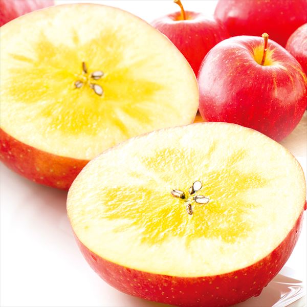 りんご 10kg 蜜入りサンふじ 山形産 ご家庭用 送料無料 食品