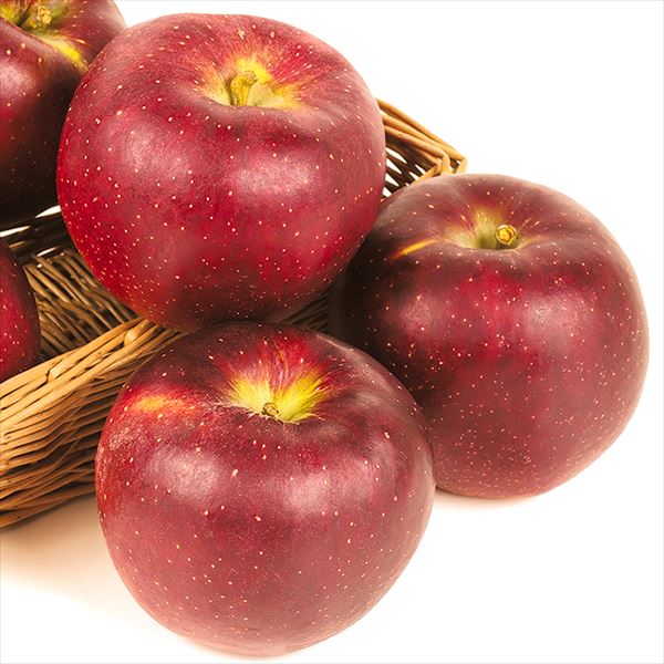 りんご 10kg 秋映 (あきばえ) 長野産 送料無料 食品