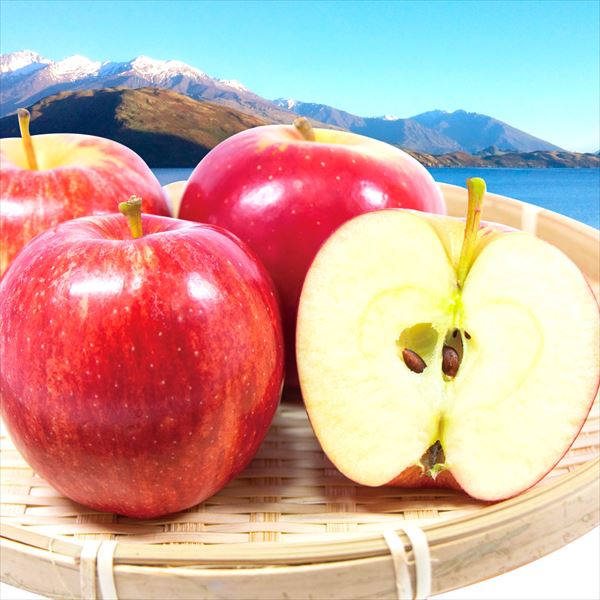 りんご 2kg ニュージーランド産 夏りんご 送料無料 食品