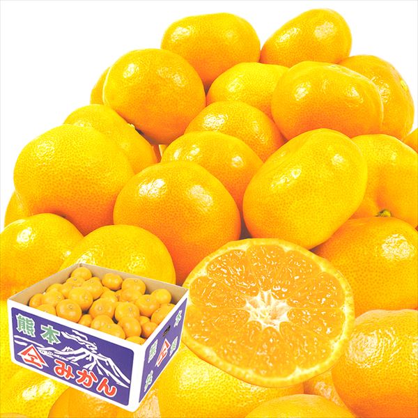 みかん 10kg 天水みかん 熊本産 蜜柑 温州 天水 柑橘 送料無料 食品