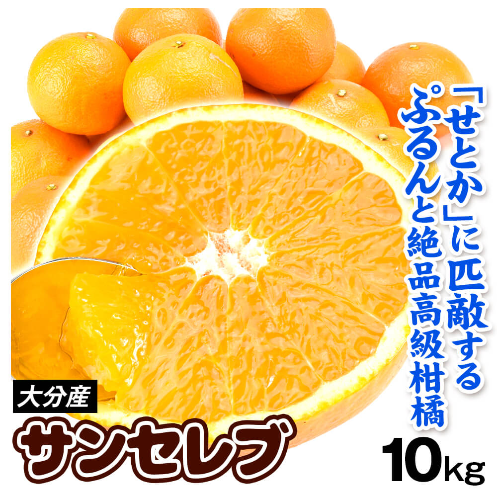 みかん 10kg サンセレブ 大分産 お買得 送料無料 食品