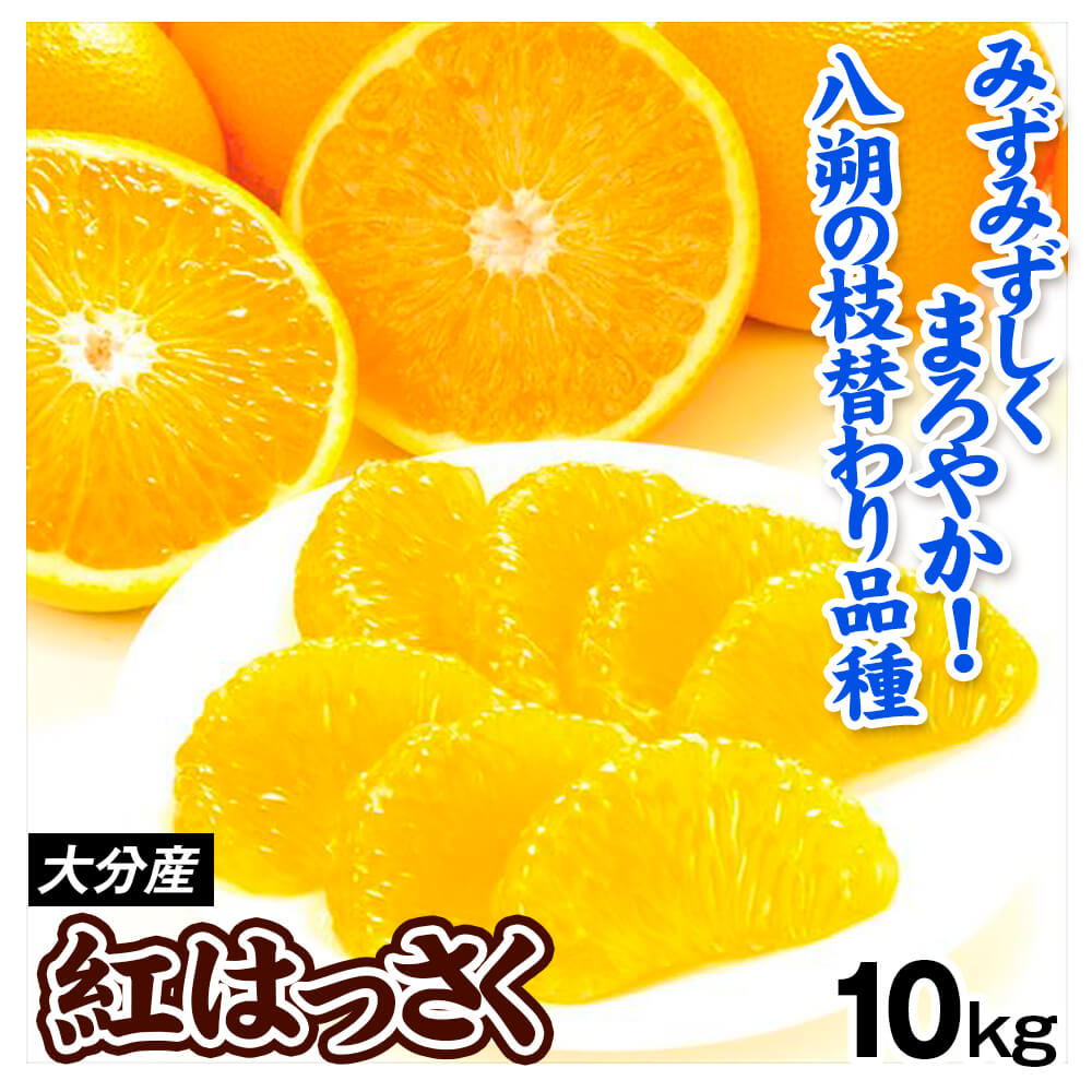 みかん 10kg 紅はっさく 大分産 ご家庭用 送料無料 食品