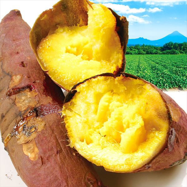 【2025年1月発送】さつまいも 10kg 紅はるか 九州産 訳あり 送料無料 食品