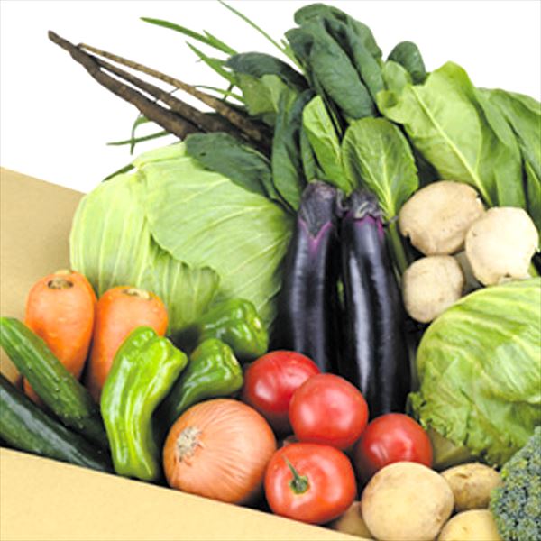 厳選！15品目の野菜セット 送料無料 食品