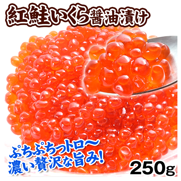 紅鮭いくら 醤油漬け 250g 食品 冷凍便