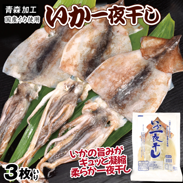 いか 一夜干し 3枚入り 国産 無加塩 食品 冷凍便