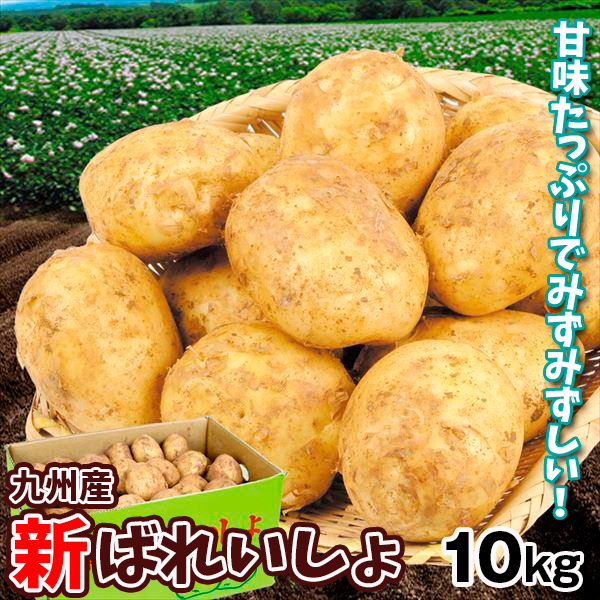 じゃがいも 九州産 新ばれいしょ 10kg 新じゃが 送料無料 食品