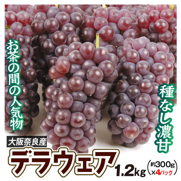 ぶどう 約1.2kg デラウェア 大阪・奈良産  種なしブドウ (約300g×4パック) ご家庭用 送料無料 食品