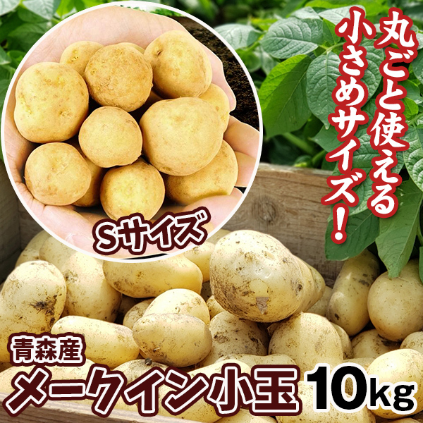 じゃがいも 10kg 青森産 メークイン【小玉】 送料無料 食品