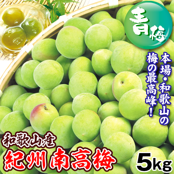 梅 紀州南高梅【青梅】 5kg 和歌山産 冷蔵便  送料無料 食品