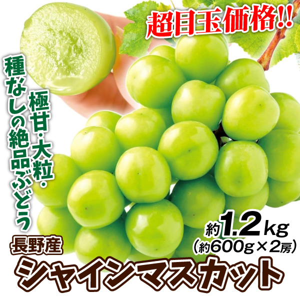 ぶどう 2房 シャインマスカット 長野産 1.2kg ご家庭用 産地直送 葡萄 ブドウ フルーツ くだもの 食品 国華園