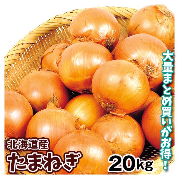 たまねぎ 北海道産 たまねぎ 20kg 送料無料 食品