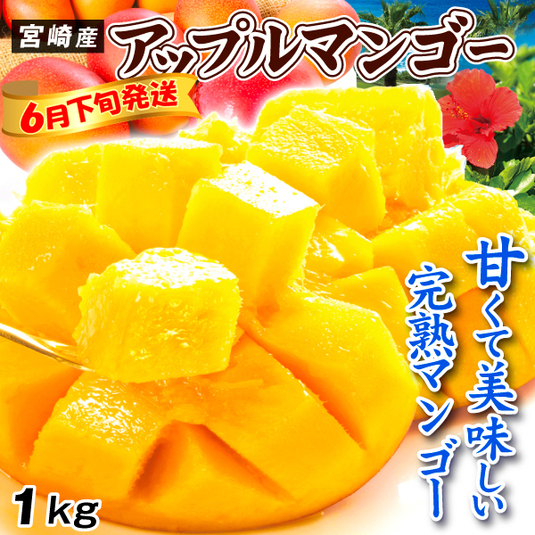 マンゴー 1kg ふぞろいアップルマンゴー 宮崎産 送料無料 食品