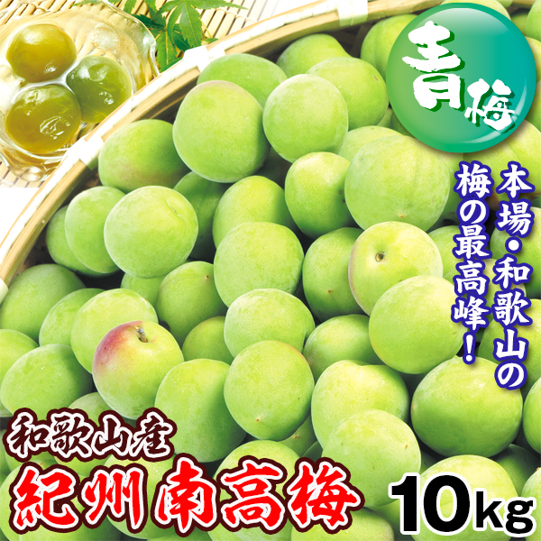 梅 紀州南高梅【青梅】 10kg 和歌山産 冷蔵便  送料無料 食品