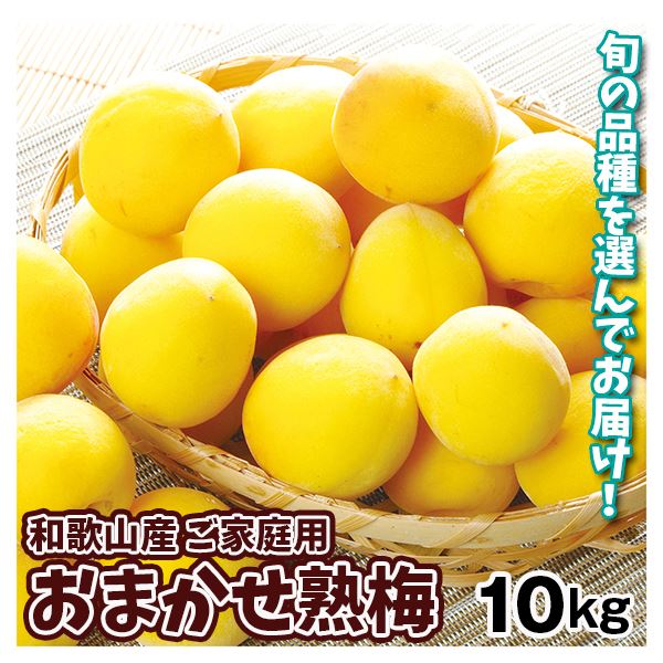 梅 おまかせ熟梅 10kg 和歌山産 ご家庭用 冷蔵便 送料無料 食品