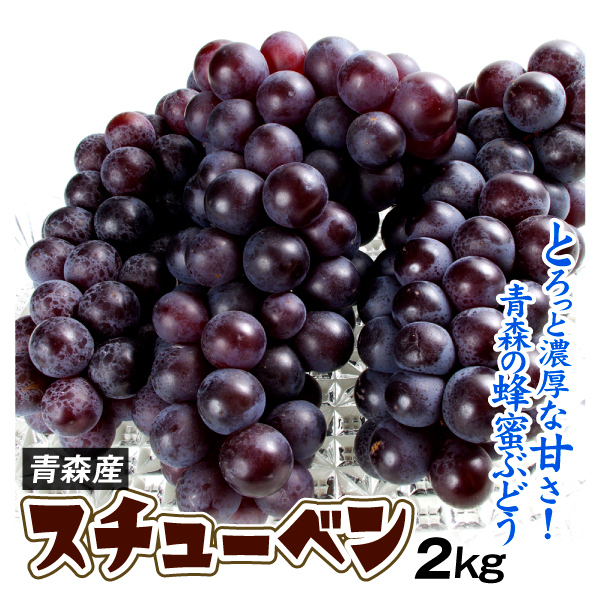 ぶどう 2kg スチューベン 青森産 冬葡萄 送料無料 食品