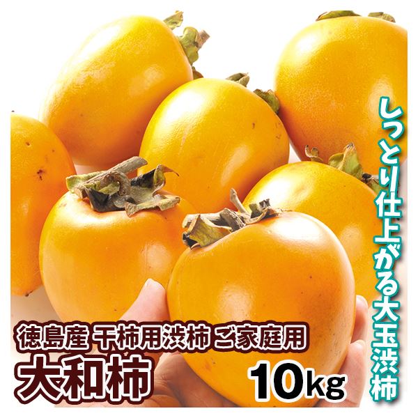 渋柿 10キロ