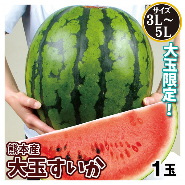スイカ 1玉産 大玉すいか 熊本 送料無料 食品