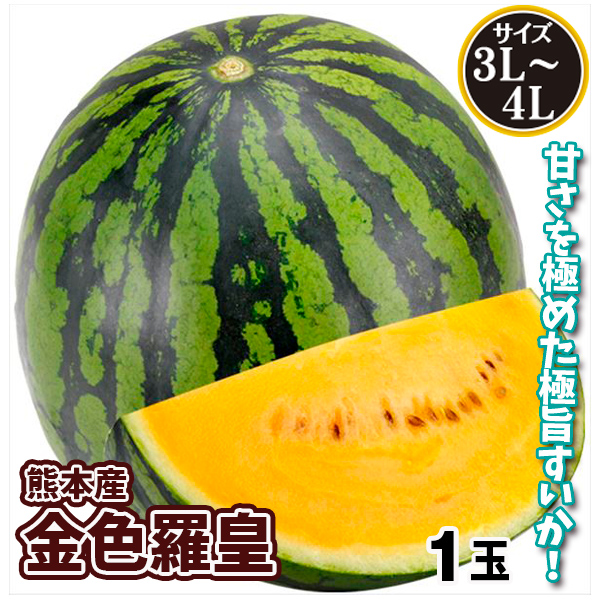 すいか 金色羅皇 1玉 熊本産 送料無料 食品
