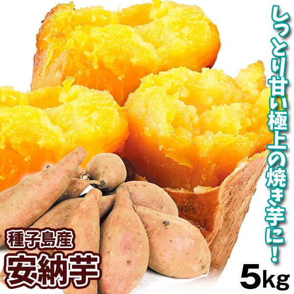 さつまいも 種子島産 安納芋 5kg 送料無料 食品