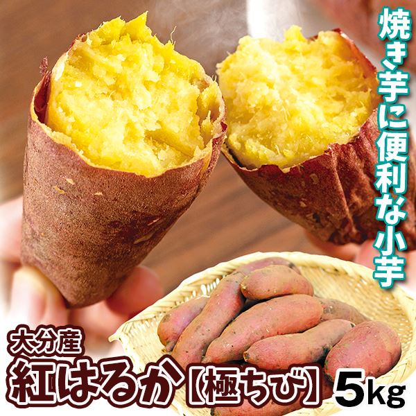 さつまいも 大分産 紅はるか 極ちび 5kg 小芋 送料無料 食品