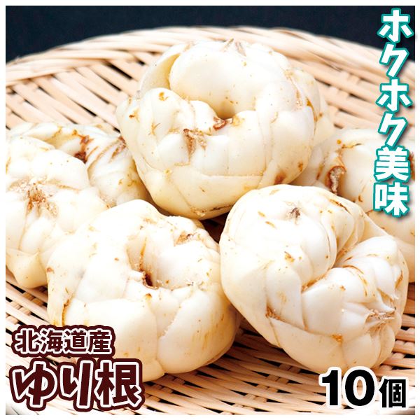 ゆり根 10個 北海道産 送料無料 食品