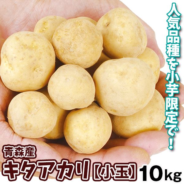 じゃがいも 10kg きたあかり 青森産 まるごとキタアカリ（Sサイズ）1箱 送料無料 芋 野菜 食品 国華園