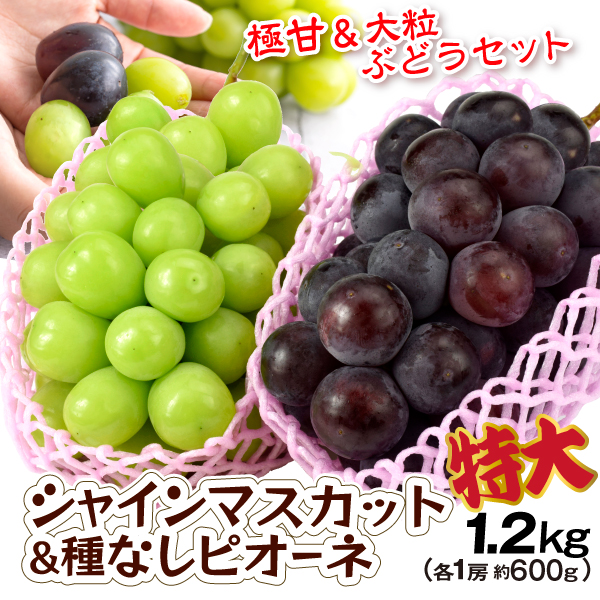 ぶどう 長野・山梨産 ご家庭用 シャインマスカット&岡山産 種なしピオーネセット 約1．2kg 大粒 種なし 化粧箱 送料無料 食品
