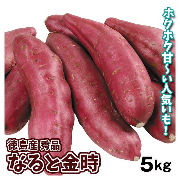 さつまいも 徳島産 なると金時 秀品 5kg 送料無料 食品