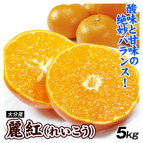 みかん 5kg 大分産 麗紅 れいこう 柑橘 蜜柑 果物 フルーツ 送料無料 食品