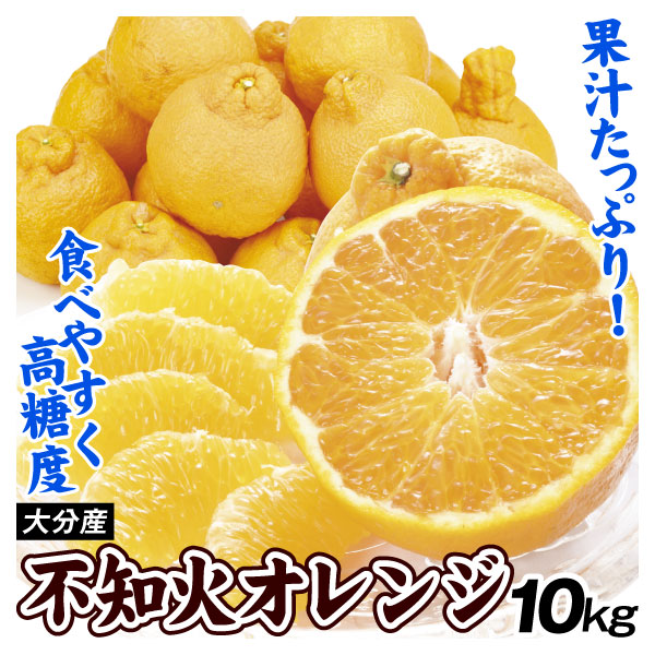 不知火 みかん 10kg 大分産 不知火オレンジ 送料無料 デコポン と同品種 デコ しらぬい ご家庭用 デコみかん 食品 国華園