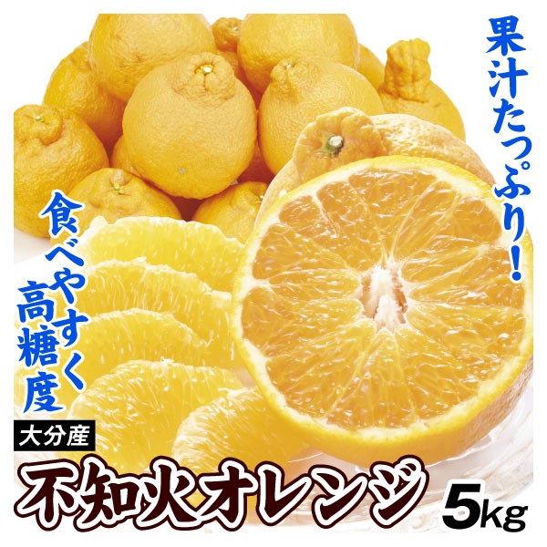 不知火 みかん 5kg 大分産 不知火オレンジ 送料無料 デコポン と同品種 デコ しらぬい ご家庭用 デコみかん 食品 国華園