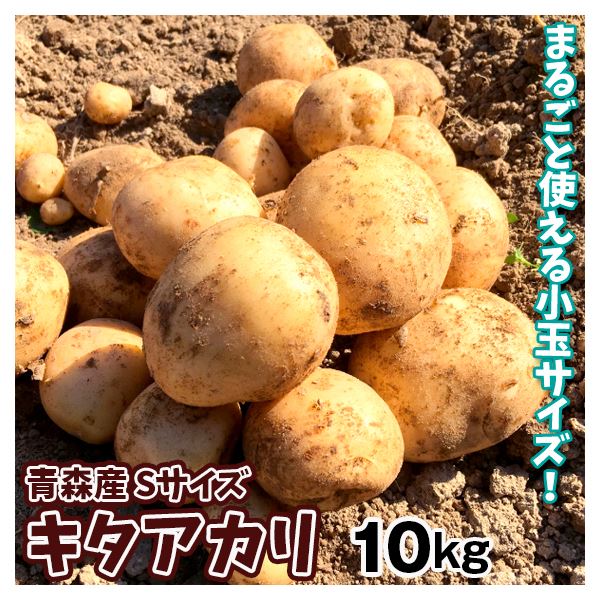 じゃがいも 10kg 青森産 まるごとキタアカリ（Sサイズ）1箱 きたあかり 送料無料 じゃが芋 産地直送 野菜 食品 国華園