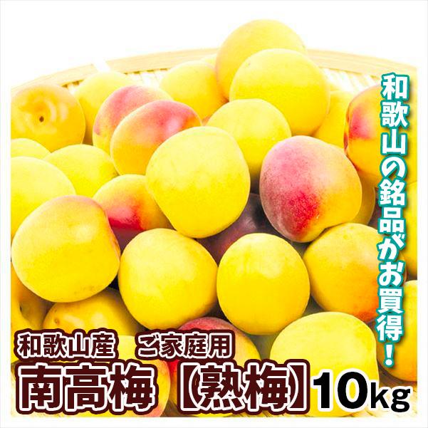 梅 和歌山産 ご家庭用 南高梅・熟梅 10kg 冷蔵便 送料無料 食品