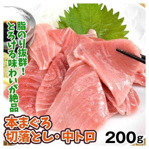本まぐろ 中トロ 切落し 200g 本鮪 お刺身 冷凍便 食品